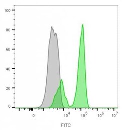 CD3 epsilon Antibody (RIV9) - Azide and BSA Free, Novus Biologicals 0.1