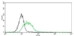 CD31/PECAM-1 Antibody (GT0010), Novus Biologicals 100 &mu;g; Unconjugated:Antibodies,