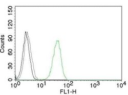 CD31/PECAM-1 Antibody (C31.3), Novus Biologicals:Antibodies:Primary Antibodies