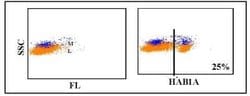 CD4 Antibody (HAB1A), Novus Biologicals 0.1mg:Antibodies, Monoclonal