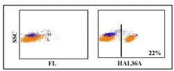 CD4 Antibody (HAL36A), Novus Biologicals 0.1mg:Antibodies, Monoclonal