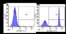CD4 Antibody (CE9.1 (Clenoliximab)) - Chimeric - Azide and BSA Free, Novus