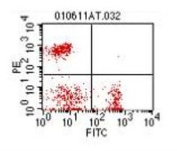 CD4 Antibody (CT-4) - Azide and BSA Free, Novus Biologicals 0.5 mg; Unconjugated:Antibodies,