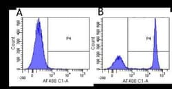 CD4 Antibody (YNB46.1.8 (Campath-9H)) - Chimeric - Azide and BSA Free,