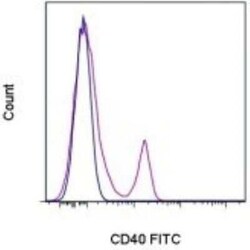 CD40/TNFRSF5 Antibody (5C3) - BSA Free, Novus Biologicals:Antibodies:Primary