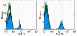 CD40/TNFRSF5 Antibody (5C3) - BSA Free, Novus Biologicals:Antibodies:Primary