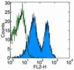 CD43/Sialophorin Antibody (R2/60), Novus Biologicals:Antibodies:Primary