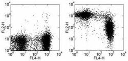 CD43/Sialophorin Antibody (R2/60), Novus Biologicals:Antibodies:Primary