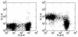 CD43/Sialophorin Antibody (R2/60), Novus Biologicals:Antibodies:Primary