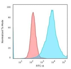 CD43/Sialophorin Antibody (SPN/1766R), Novus Biologicals:Antibodies:Primary