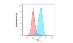 CD45RA Antibody (111-1C5), Novus Biologicals:Antibodies:Primary Antibodies