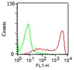 CD45RA Antibody (158-4D3), Novus Biologicals:Antibodies:Primary Antibodies