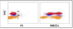 CD45RO predicted Antibody (HB32A), Novus Biologicals 0.1mg:Antibodies,