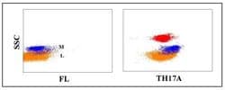 CD47 Antibody (TH17A), Novus Biologicals 0.1mg:Antibodies, Monoclonal