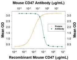Mouse CD47 Antibody, R D Systems:Antibodies:Primary Antibodies