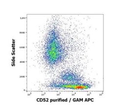 CD52 Antibody (4C8) - BSA Free, Novus Biologicals 0.1 mg; Unconjugated:Antikörper
