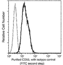 CD55/DAF Rabbit anti-Human, Clone: 28, Novus Biologicals 100 &mu;g; Unconjugated:Antibodies,