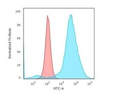 CD55/DAF Antibody (143-30), Novus Biologicals 0.02mg; Unlabeled:Antibodies,