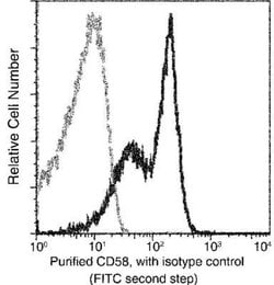CD58/LFA-3 Rabbit anti-Human, Clone: 83, Novus Biologicals 50 &mu;g; Unconjugated:Antibodies,