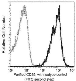 CD59 Rabbit anti-Human, Clone: 29, Novus Biologicals 50 &mu;g; Unconjugated:Antibodies,