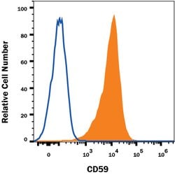Human CD59 Antibody, R D Systems:Antibodies:Primary Antibodies