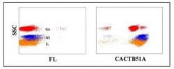 CD5L Antibody (LT3A), Novus Biologicals 0.1mg:Antibodies, Monoclonal