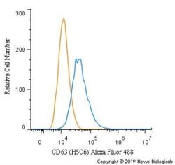 CD63 Antibody (H5C6) - Azide and BSA Free, Novus Biologicals 0.1 mL | Buy Online | Novus Biologicals | Fisher Scientific