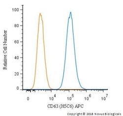 CD63 Antibody (H5C6) - Azide and BSA Free, Novus Biologicals 0.1 mL | Buy Online | Novus Biologicals | Fisher Scientific