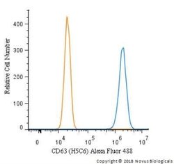 CD63 Antibody (H5C6) - Azide and BSA Free, Novus Biologicals 0.1 mL | Buy Online | Novus Biologicals | Fisher Scientific