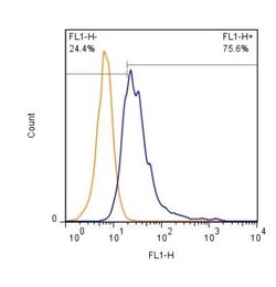 CD63 Antibody (H5C6) - Azide and BSA Free, Novus Biologicals 0.1 mL | Buy Online | Novus Biologicals | Fisher Scientific