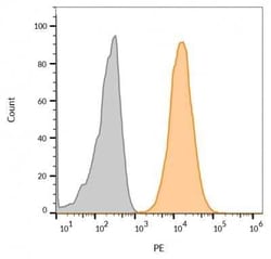 CD63 Antibody (LAMP3/968), Novus Biologicals:Antibodies:Primary Antibodies
