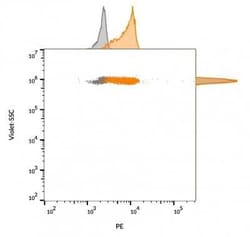 CD63 Antibody (LAMP3/968), Novus Biologicals:Antibodies:Primary Antibodies