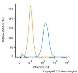 CD68/SR-D1 Mouse anti-Human, Mouse, Rat, Clone: KP1, Novus Biologicals