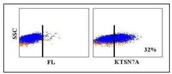 CD69 Antibody (KTSN7A), Novus Biologicals 0.1mg:Antibodies, Monoclonal