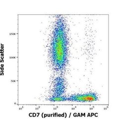 CD7 Antibody (124-1D1) - BSA Free, Novus Biologicals 0.1 mg; Unconjugated:Antibodies,