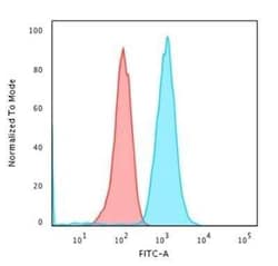CD79A Antibody (IGA/1790R) - Azide and BSA Free, Novus Biologicals 100