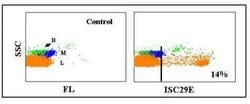 CD8 Antibody (ISC29E), Novus Biologicals 0.1mg:Antikörper