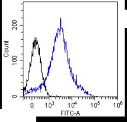 CD8 beta Antibody (YTS 156.7.7) - Chimeric - Azide and BSA Free, Novus Biologicals 0.025 mg | Buy Online | Novus Biologicals | Fisher Scientific