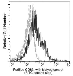 CD83 Antibody (101), Novus Biologicals 100 &mu;g; Unconjugated:Antibodies,
