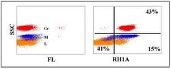 CD9 Antibody (RH1A), Novus Biologicals 0.1mg:Antibodies, Monoclonal