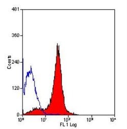 CD90/Thy1 Antibody (OX-7) - BSA Free, Novus Biologicals CD90/Thy1 Antibody;