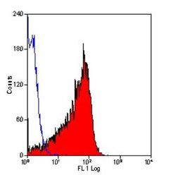CD90/Thy1 Antibody (OX-7) - BSA Free, Novus Biologicals CD90/Thy1 Antibody;