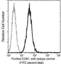 CD97 Rabbit anti-Human, Clone: 24, Novus Biologicals 100 &mu;g; Unconjugated:Antibodies,