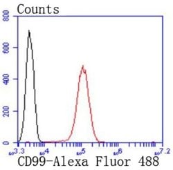 CD99 Rabbit anti-Human, Clone: JF0991, Novus Biologicals 100&mu;L:Antibodies,