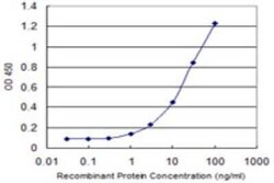 Cadherin-19 Antibody (1G4), Novus Biologicals 0.1 mg | Buy Online | Novus Biologicals | Fisher Scientific