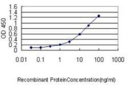 CDP/CUTL1 Antibody (2A10), Novus Biologicals 0.1 mg, Unconjugated:Antibodies,