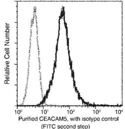 CEACAM5/CD66e Rabbit anti-Human, Clone: 61, Novus Biologicals 100 &mu;g;