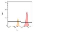 CEACAM5/CD66e Antibody (5C8C4), Alexa Fluor 488, Novus Biologicals 0.1 mL | Buy Online | Novus Biologicals | Fisher Scientific