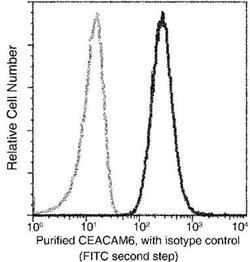 CEACAM6/CD66c Rabbit anti-Human, Clone: 408, Novus Biologicals:Antibodies:Primary