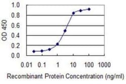 CEACAM6/CD66c Antibody (1G2), Novus Biologicals 0.1 mg | Buy Online | Novus Biologicals | Fisher Scientific